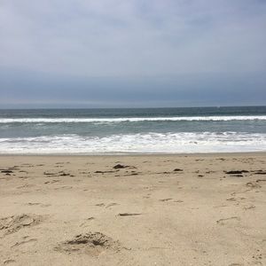 Meet your Posher, Ellen